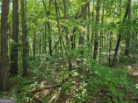 0 Harley, Ball Ground, GA 30107