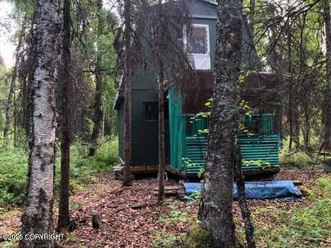 48615 S Dolly Varden Drive, Willow, AK 99688