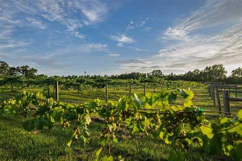00 County Road 2138, Troup, TX 75789