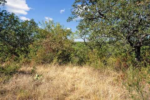 Tract 7 State Highway 6, Moran, TX 76464