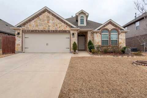 11228 Blaze Street, Aubrey, TX 76227