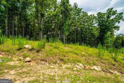 0 Ridge, Morganton, GA 30560