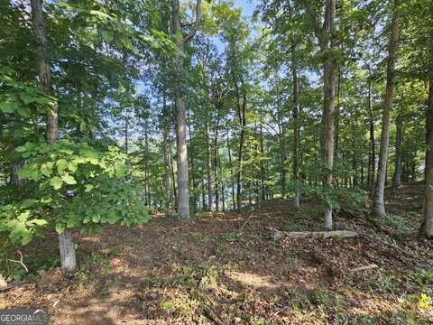 237 Southern Trace, Toccoa, GA 30577