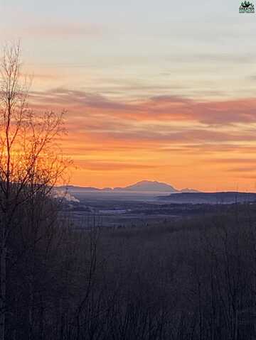NHN ASPEN HEIGHTS DRIVE, Fairbanks, AK 99709