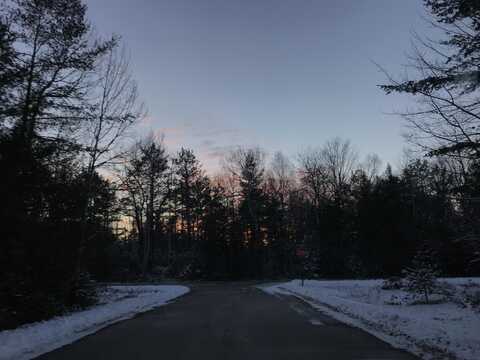 Kauffman Road lot: 345, Presque Isle, MI 49777