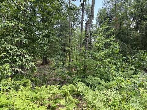 4649 Wah Wah Soo Drive, Gaylord, MI 49735