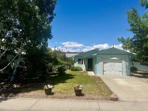 813 E Cleveland Avenue, Fruita, CO 81521