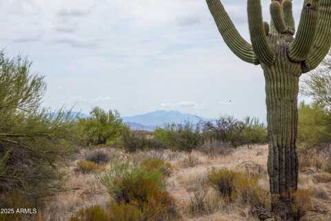 141xx E Rancho Del Oro Court, Scottsdale, AZ 85262