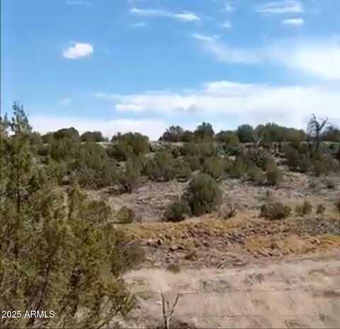 8594 BOBCAT Drive, Show Low, AZ 85901