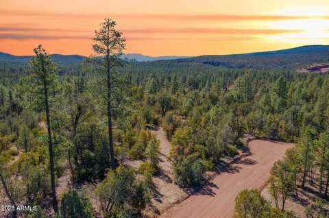 0000 Fawn #4 Drive, Pine, AZ 85544