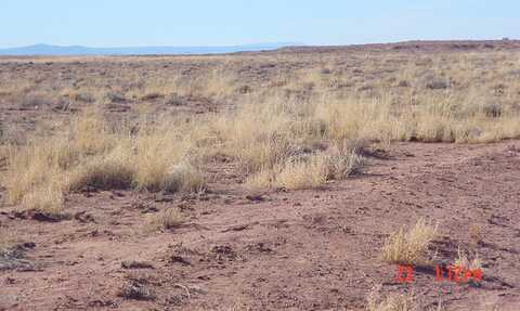 Lot 109 N Hunt Road, Winslow, AZ 86047