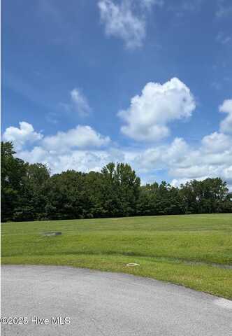 Lot 37 Sr 1767 Off State Road, Pinetown, NC 27865