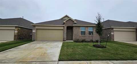 2312 Okeefe Drive, Little Elm, TX 75068