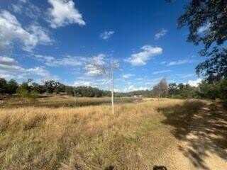 Lot 18 Woodland Trail Ranch, Caldwell, TX 77836