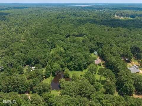 204 Silver Leaf Drive, Benton, LA 71006