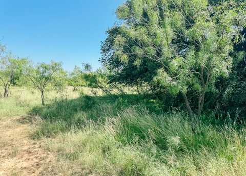 Lot 4 Morris Sheppard Drive, Brownwood, TX 76801