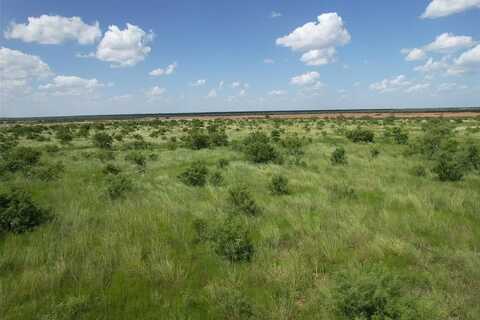 Tract 14 TBD Cr 495, Hawley, TX 79525