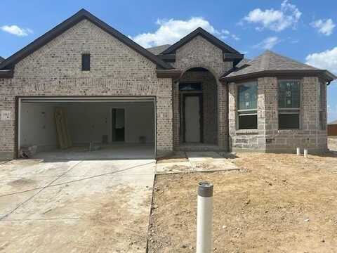 3913 Summerfield Drive, Crandall, TX 75114