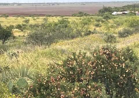 Tbd4 County Road 405, Merkel, TX 79536