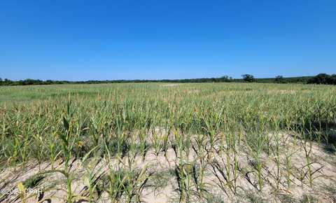 Lot 4 Bradley Road, Westville, FL 32464