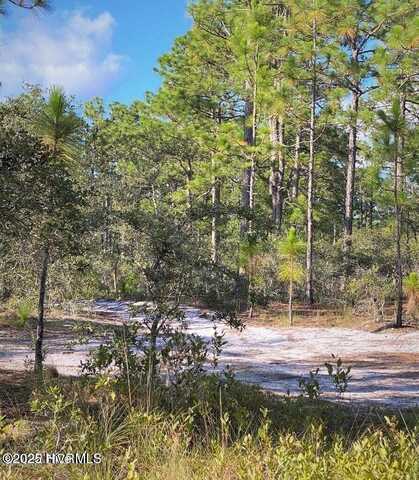 000 Old Georgetown Road, Shallotte, NC 28470