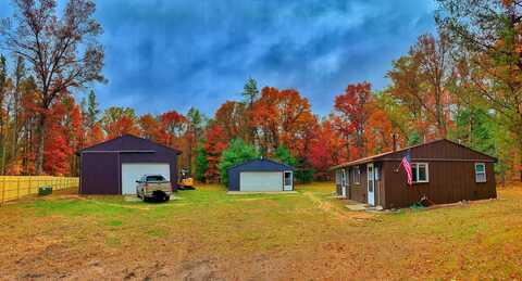 9279 S Forman Road, Baldwin, MI 49304