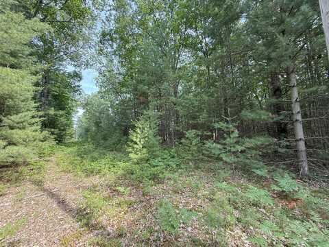 Critter Trail, Manistee, MI 49660