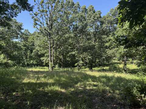 000 Mulberry Drive, Mountain Grove, MO 65711
