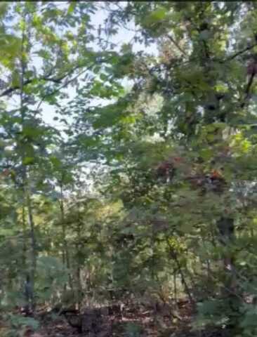 000 State Hwy C, Purdy, MO 65734
