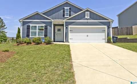 306 PARK CREST RUN, CHELSEA, AL 35043