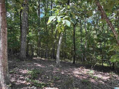0 ALLISON LANE, TRUSSVILLE, AL 35173
