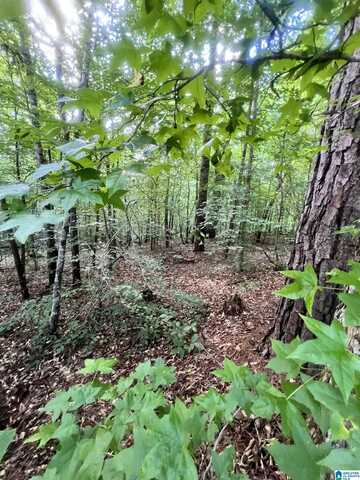 0 ANDREW JACKSON ROAD, ALEXANDER CITY, AL 35010