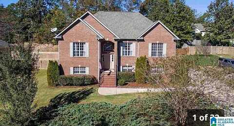 1104 ROWAN TRACE, LEEDS, AL 35094
