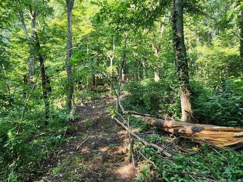 18 +/- Acres County Road 1250 West, Medora, IN 47260