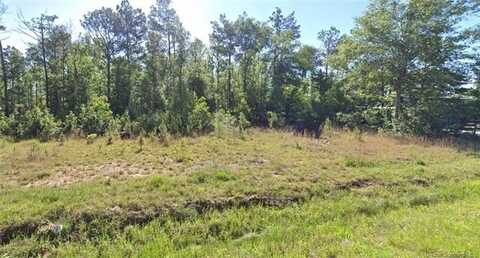 0 Newt Hodges Road Lot 10, Ragley, LA 70657