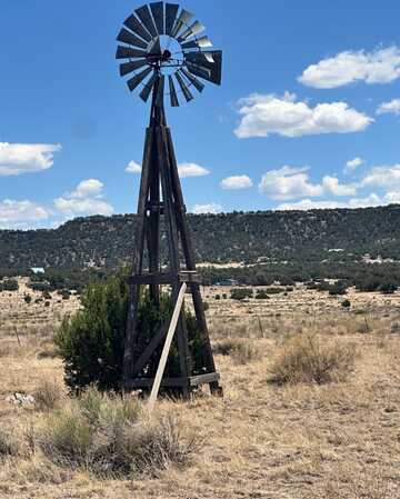 XX Cow Spring Dr, Quemado, NM 87829