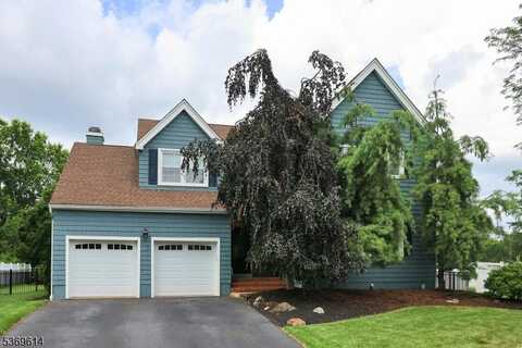 10 Wyckoff Way, Hillsborough, NJ 08844