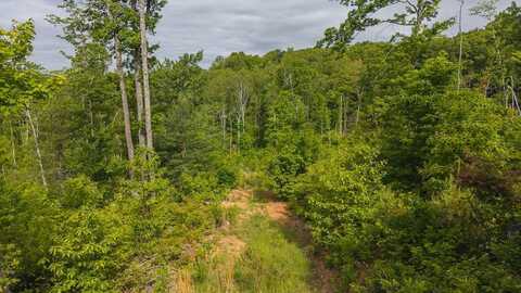 TBD Cove Gap Rd, Moravian Falls, NC 28697