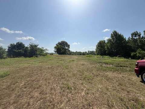 0 Circle Drive, Prattsville, AR 72150