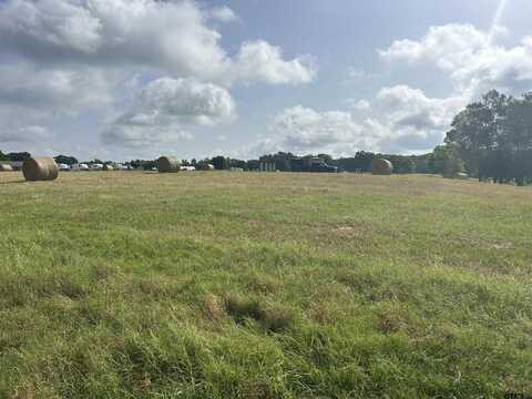 TBD CR 2138, Troup, TX 75789