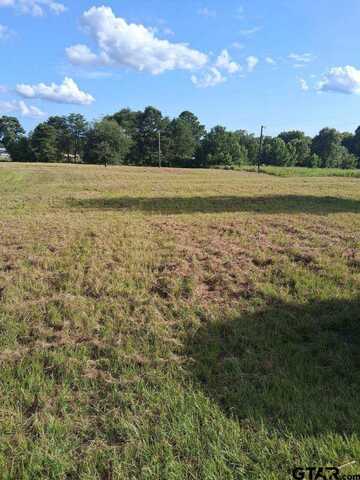 198 Crockett, Bullard, TX 75757