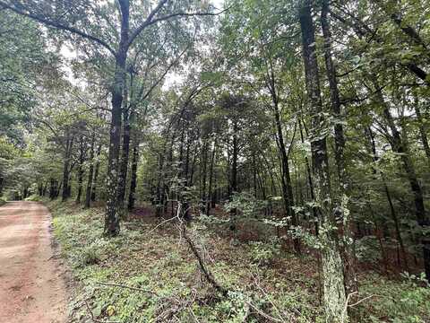 1 Clay 472/461 Road, Piggott, AR 72454