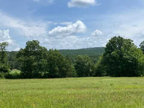 8627 Wildflower Lane, Waldron, AR 72958