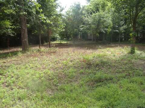 751 Dogwood Trail, Murchison, TX 75778