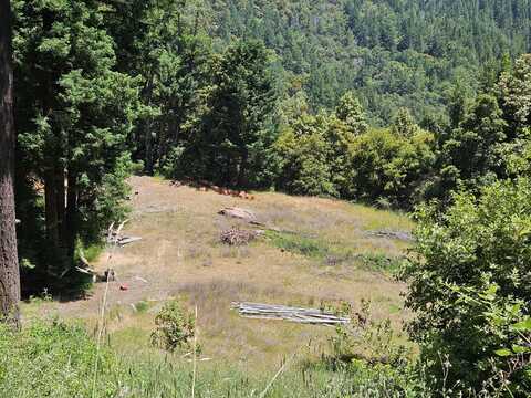 245 Twin Trees Lane, Benbow, CA 95542
