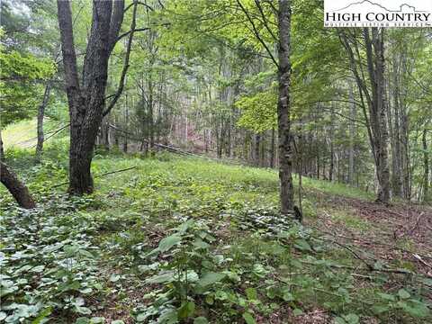 Tbd Rominger Road, Banner Elk, NC 28604