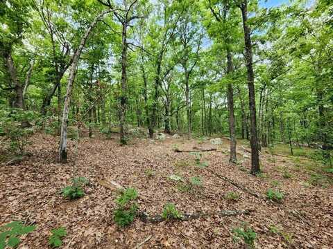 4 TBD Bear Creek 40 Acres, Talihina, OK 74571