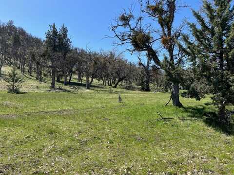 Lot 55 Patricia Av, Montague, CA 96064