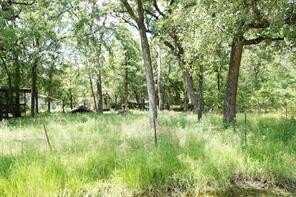 6136 Apache Dr, Mabank, TX 75156
