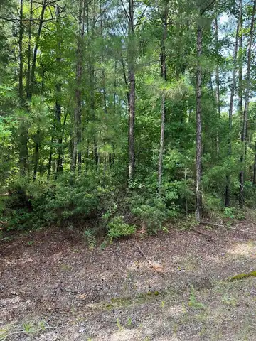 00 Columbia Road 36, Magnolia, AR 71753